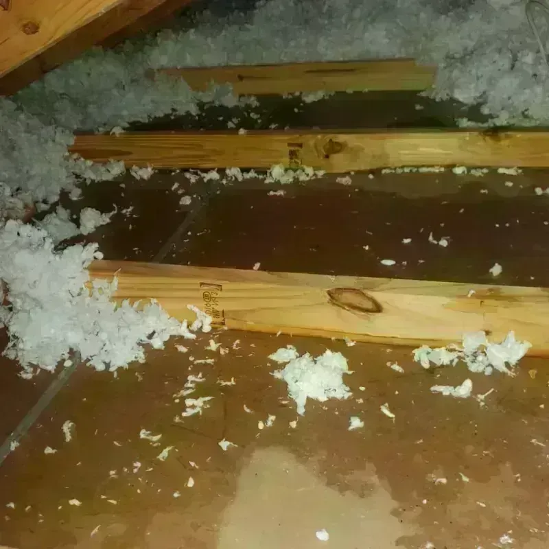 Attic Water Damage in Anthony, TX