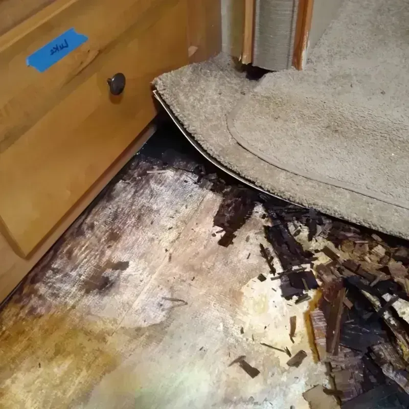 Best Wood Floor Water Damage Service in Anthony, TX